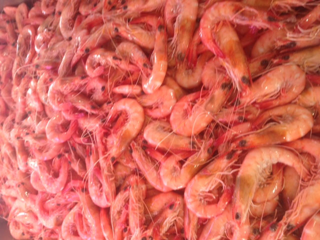 prawns