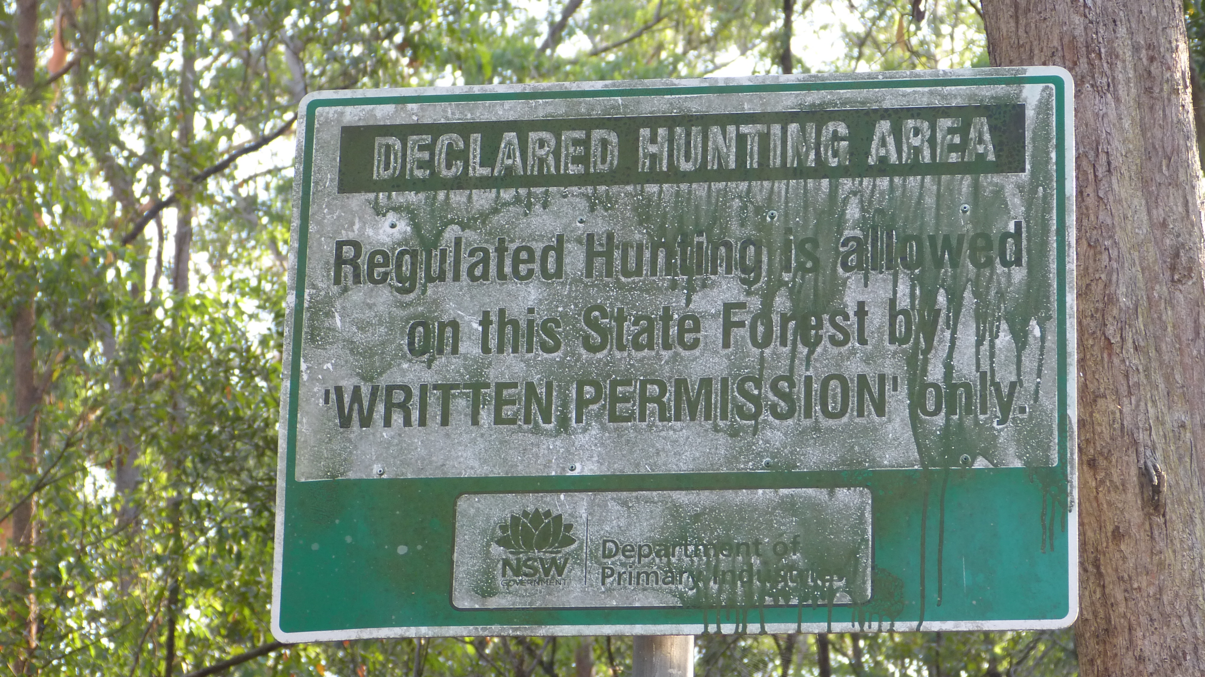  Hunting on a main thoroughfare?