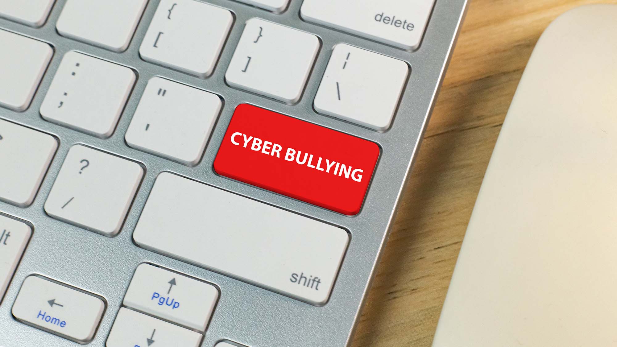  Cyber bulling, the youth and the law
