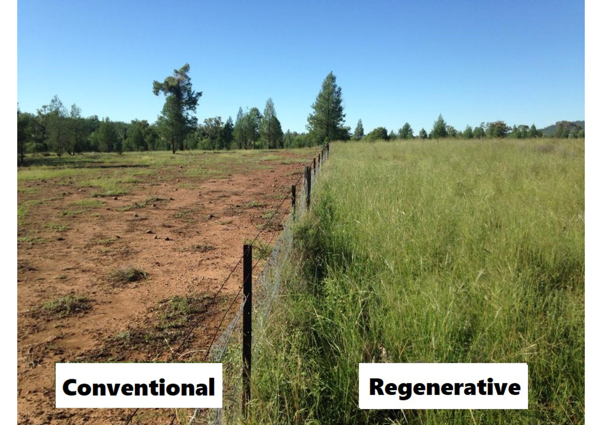  REGENERATIVE AGRICULTURE and RECOVERING FROM FIRE