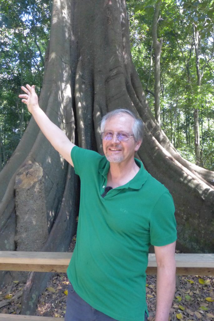 Ardross residents 'disappointed' after Melville council votes to keep  22-metre tree causing 'fear and despair